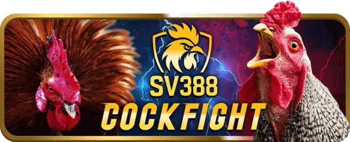 Người chơi i8bet phân tích dữ liệu cá cược thể thao